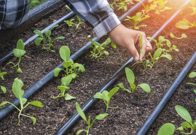 Inground Irrigation Service in Ventura County, CA