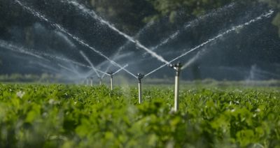 Reduces water waste