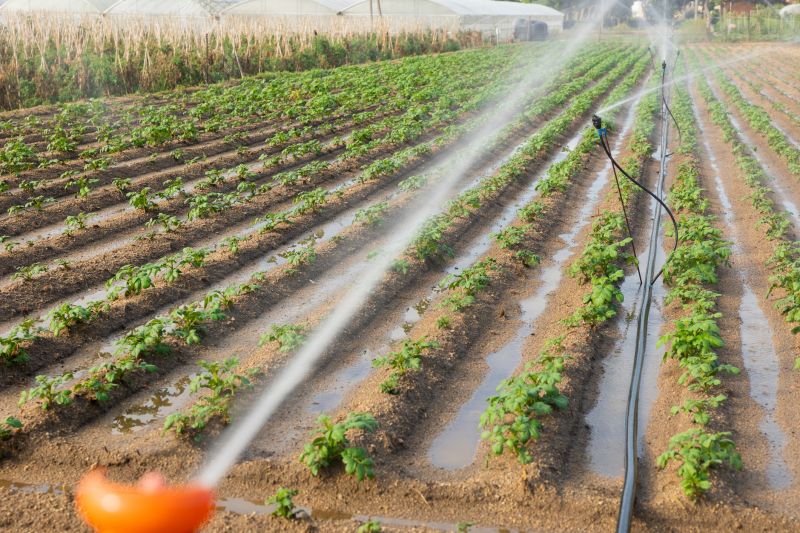 Cost of Irrigation Installation — Cost of Irrigation Installation