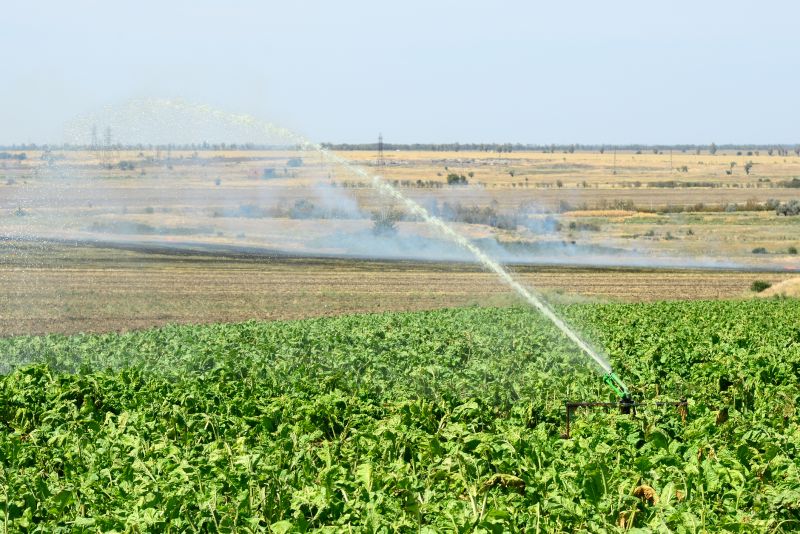 Cost of Irrigation Installation — Cost of Irrigation Installation
