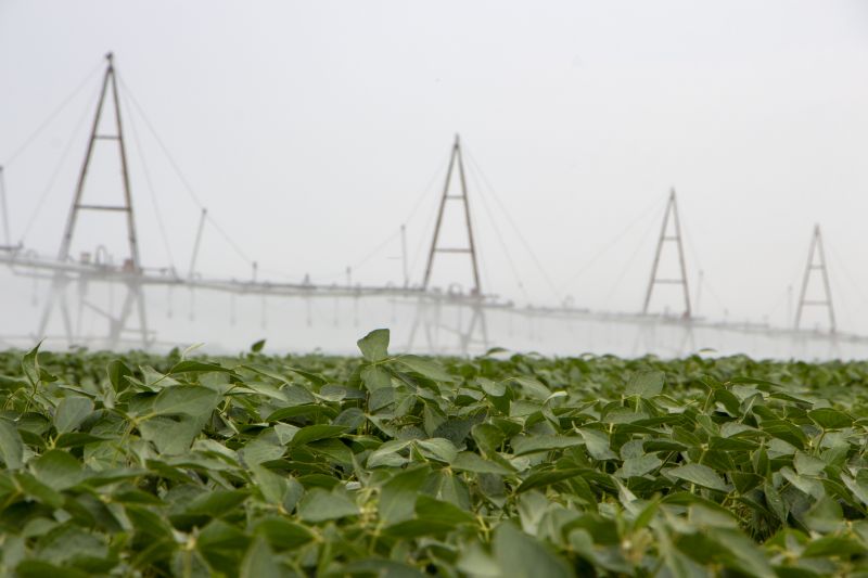 Cost of Irrigation Installation — Cost of Irrigation Installation