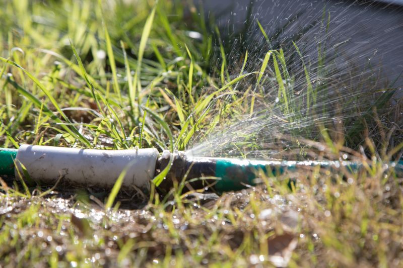 Damaged Sprinkler Repair in Aiken, SC
