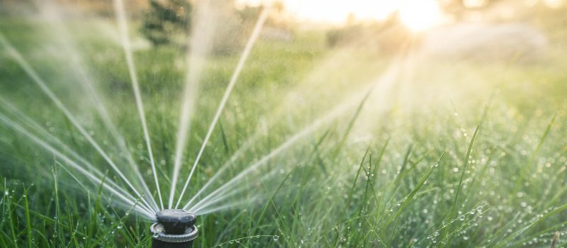 Lawn Sprinkler Replacement in Aiken, SC