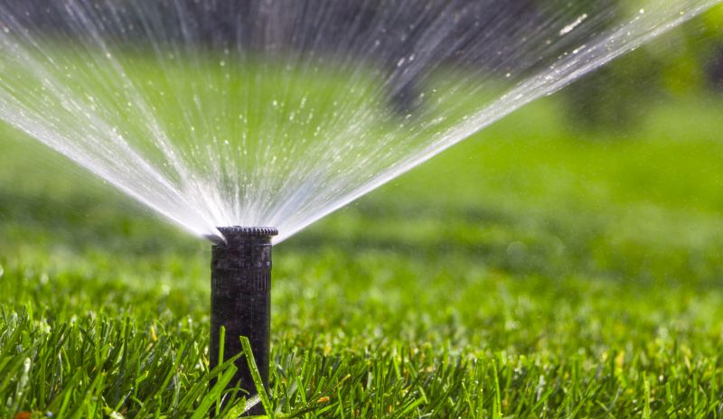 Healthier plant growth